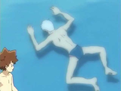 市民プールに鮫が出た