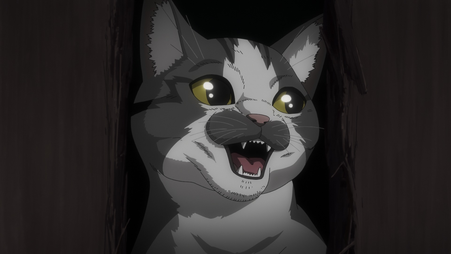 第9話