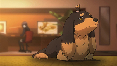 犬も歩けば棒に当たる