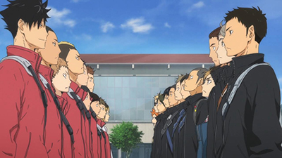 ネコとカラスの再会