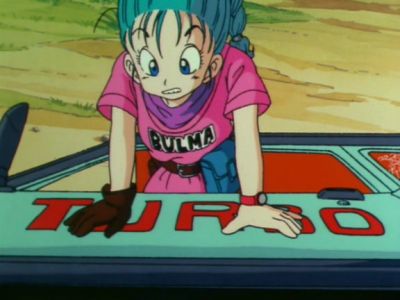 ブルマと孫悟空