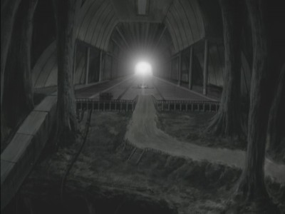 オポジット・ヴュー