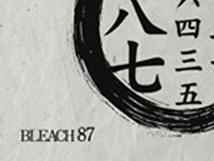 白哉召集！動き出す護廷十三隊