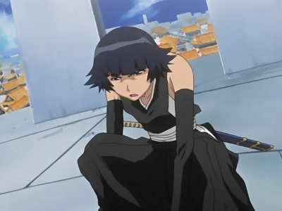 砕蜂死す？隠密機動の最後