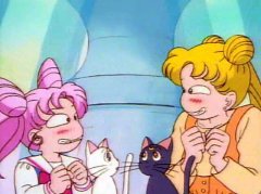 スペシャル: 華麗に変身？泣き虫うさぎの成長記録