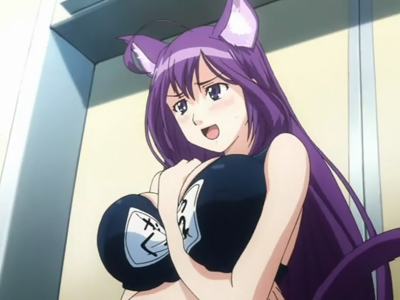 とまりきにました