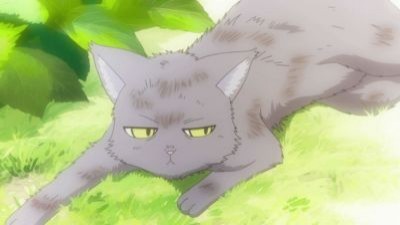 レイニーレイニー