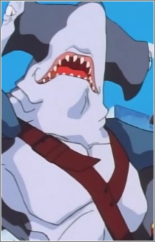 シュモクザメ海賊